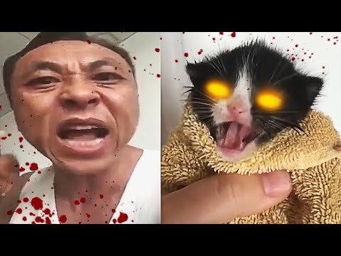 Chinese Man Yells