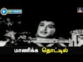 மாணிக்க தொட்டில் | Maanicka Thottil | Panam Padaithavan | Video Song | MGR | TMS | HD