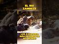 LOS CINCO LUGARES MÁS PELIGROSOS DEL MUNDO | RIO ZAMBEZE #riozambeze