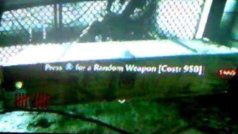 COD5 GUN GLITCH TUTORIAL for Zombie Verruckt Part 2