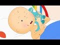 カイユー | 病気のカイユー | 面白い漫画 | キッズ漫画 | ケイルー | Caillou