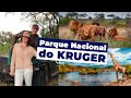 FIZ UM SAFÁRI NO PARQUE NACIONAL DO KRUGER, NA ÁFRICA DO SUL | Rodrigo Ruas