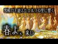 【雪解けのケルト】「春よ、来い」~エルフの里に響く雪解けと祈りの調べ~【平成名曲】