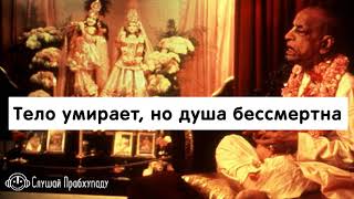 Тело умирает, но душа бессмертна Тело умирает, но душа бессмертна