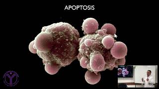 PADZA Apoptosis Workshop Part 1, Introduction - کارگاه آپوپتوز پادزا قسمت اول (مقدمه)