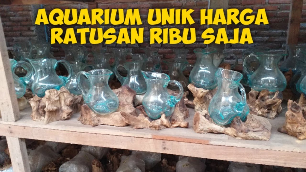 AQUARIUM UNIK HARGA MULAI 200RIBUAN - YouTube