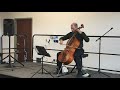 Danny Boy for solo cello - Synergismus