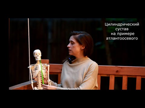 Артрология, одноосные суставы