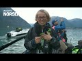 Norseman Live 2024