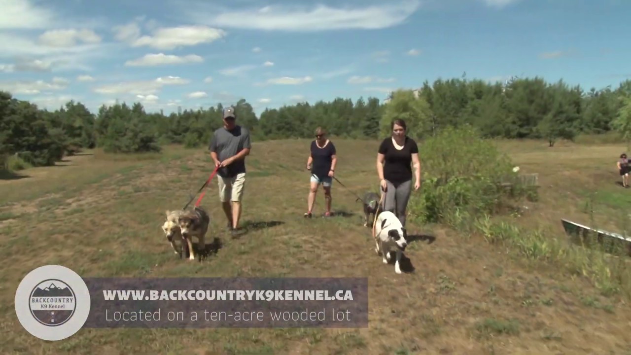 BackCountry K9 Kennel 10 sec YouTube