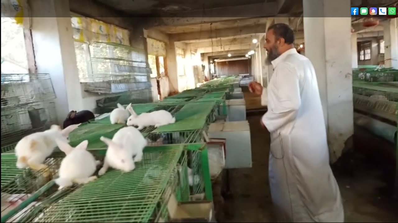 ارانب الخير افطم وميهمكش،،،26