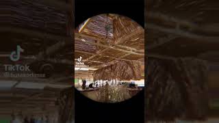 Buse Korkmaz Hot Girls Summer