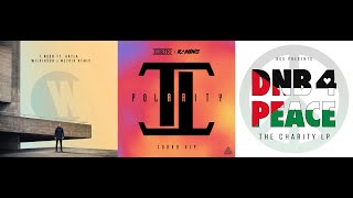 I Need (Wilkinson & Metrik Remix) Vs Kanine & Turno - Polarity V.I.P X Simula - Lazy Horn