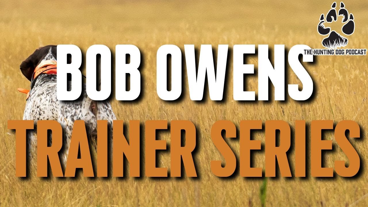 Trainers series: Bob Owens Lone Ducks Gun Dog Chronicles