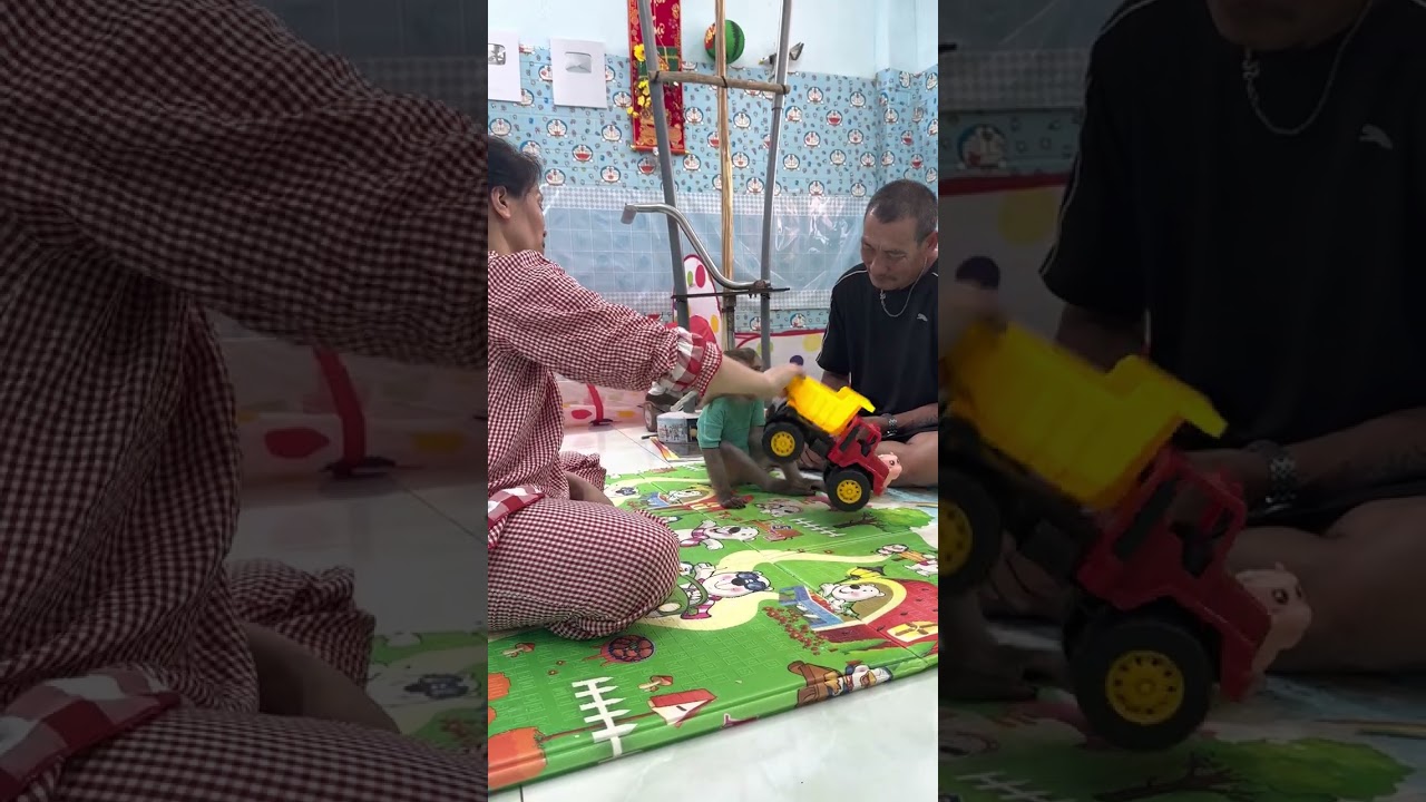 Monkey Sam is curious about this car 