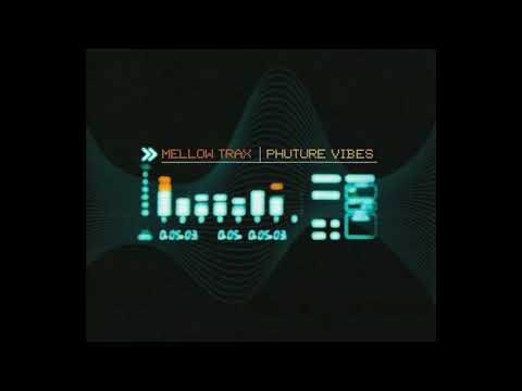 Phuture Vibes (Extended Club Mix) artwork