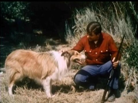 Lassie - Episode #409 - 