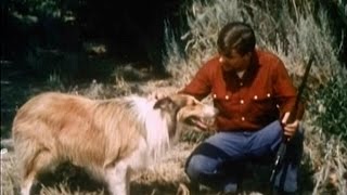 Lassie - Episode #409 - "The Friendless" - Season 12, Ep. 24 - 02/27/1966
