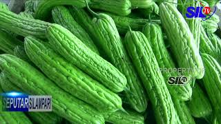 Seputar Silampari - Karet Tak Kunjung Naik, Pasar Bukit Sulap Sepi Pembeli