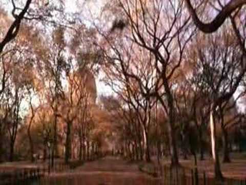 Vanilla Sky: \