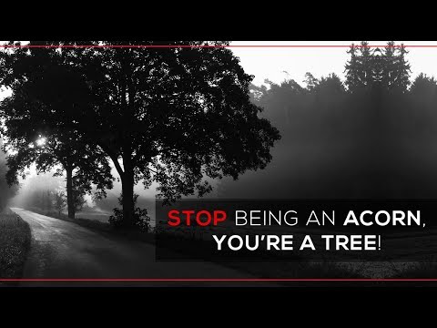 Kyle Cease - Stop Being An Acorn, You Are A Tree!