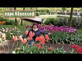 Парк Кёкенхоф - чарующая магия тюльпанов...