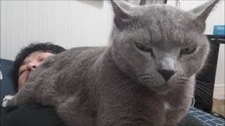 きょうのが〇き