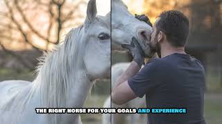 horses#Horse care#New video