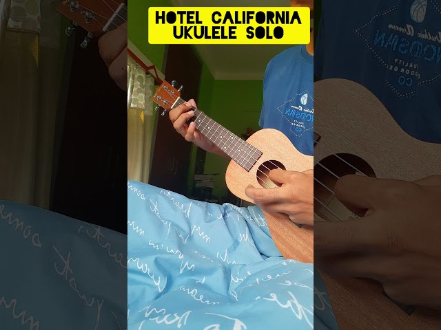 Eagles - Hotel California Ukulele Solo #eagles #hotelcaliforniasolo #ukulele #hotelcalifornia #solo class=