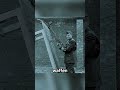 Die verrücktesten Waffen der Militärgeschichte