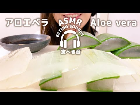 【咀嚼音】アロエベラ【ASMR】Aloe vera (Eating sounds)