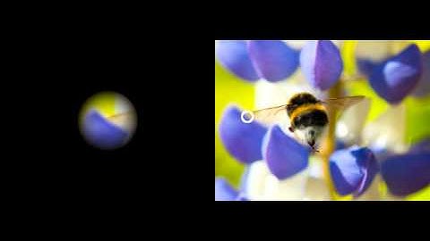 Visual (In)stability