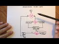 Programación: Diagramas de flujo y pseudocódigo