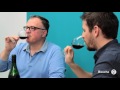 Dégustation // Bertrand et Vincent Marchesseau  - " Roc Collection " Bourgueil 1996