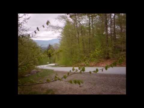 How Spring Sprung in Smugglers Notch State Park