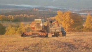 видео Лебяжье (Россия, Алтайский край, Егорьевский район)