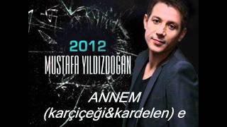 Mustafa Yildizdoğan _Annem Resimi