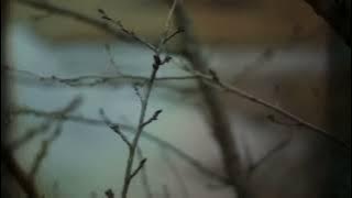 Korean Drama Romantic Comedy Secret Tutoring 2014 Movies English Subtitles1