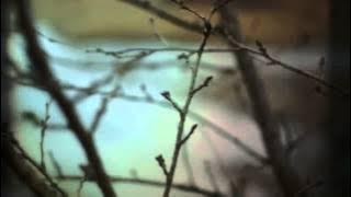 Korean Drama Romantic Comedy Secret Tutoring 2014 Movies English Subtitles1