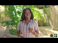 The Department of Environmental Planning and Protection