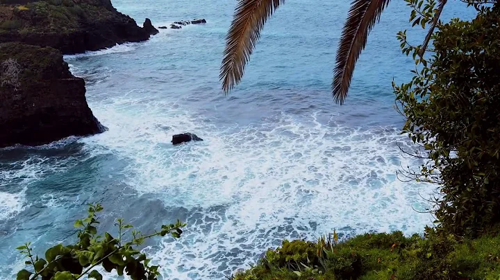 Island Life