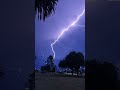 the first lightning bolt looks like something out of a disney movie #shortsviral #reels #ytshorts