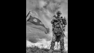 Lastfragment, SKWLKR - Panic Attacks ( slowed & reverb )