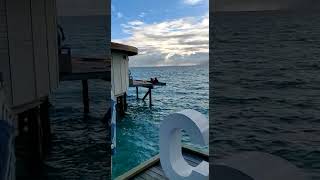Centera Ras Fushi Resort &Spa Maldives #maldives #maldivestrip