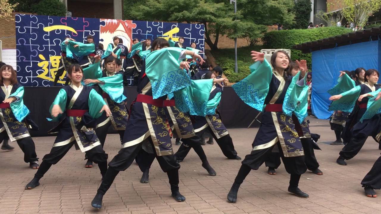 2016京都橘大学学園祭tacchi「2015魁」 YouTube