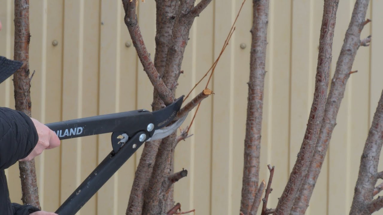 Информация