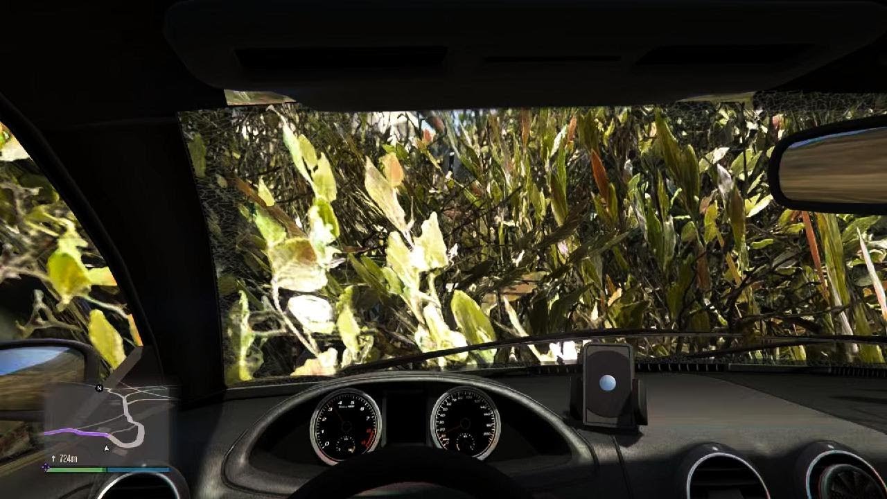 Grand Theft Auto V online 