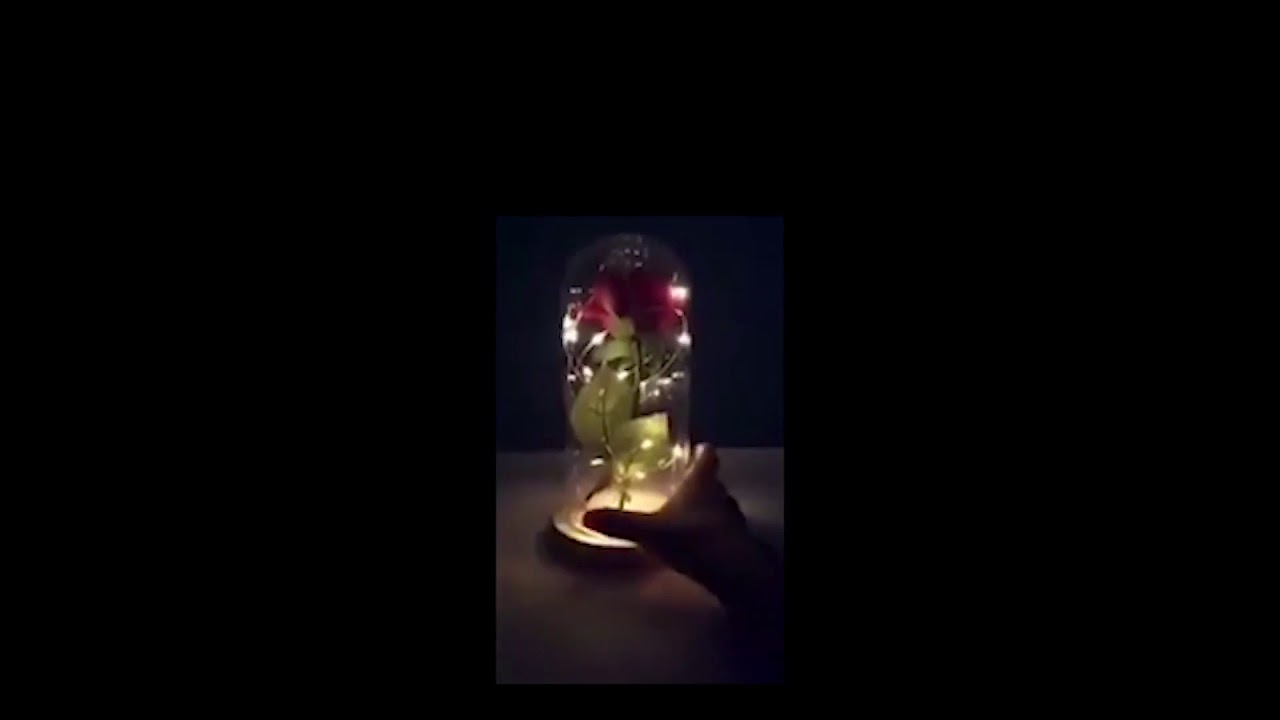 Enchanted LED Forever Rose