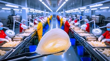 Inside the Bird’s Nest Factory–How Raw Swiftlet Nests Become $3,000-a-Kilo Luxury Food (Full)