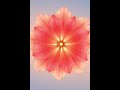Coral Heart Pulse | Morning Psychill 140 BPM | Day Motivation